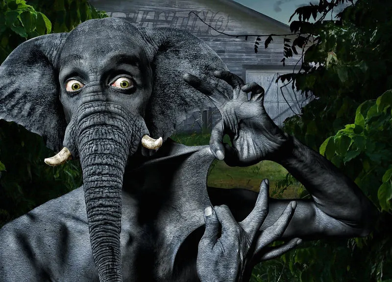 The Roaming Swordman